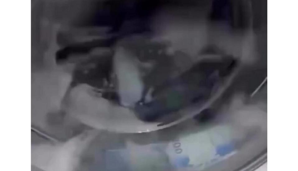 200 manatlıqları paltaryuyanda YUDULAR - 