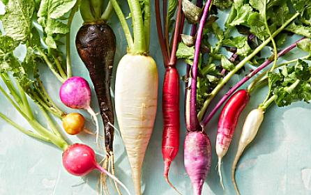 Həm arıqlayacaq, həm də infeksiyadan