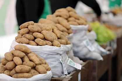 Kartof bazarında nə baş verir? - 