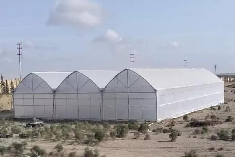 Bakıda kişi işlədiyi "parnik"i 