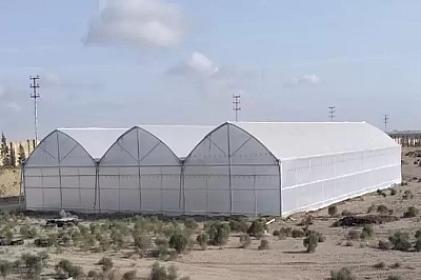 Bakıda kişi işlədiyi "parnik"i 