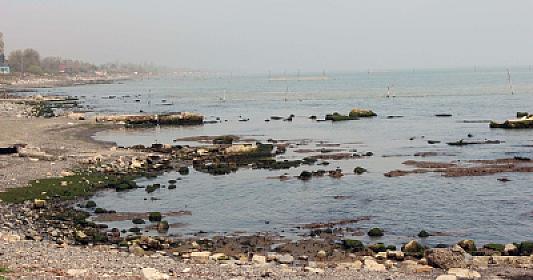 Xəzərdə suyun səviyyəsinin azalması balıqçılıq sektoru üçün çətinliklər yaradıb -