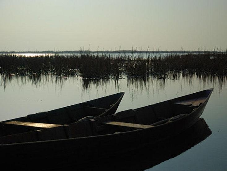 Balıqçılar Kürdə 