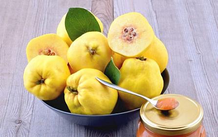 Soyuq havaların möcüzəvi qalxanı: