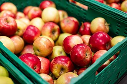 Həddindən artıq alma yemək 