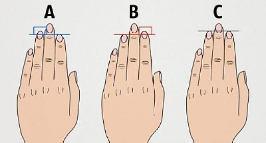 Barmaqların uzunluğu idman potensialını 