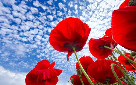 The weather will not be very hot in April -