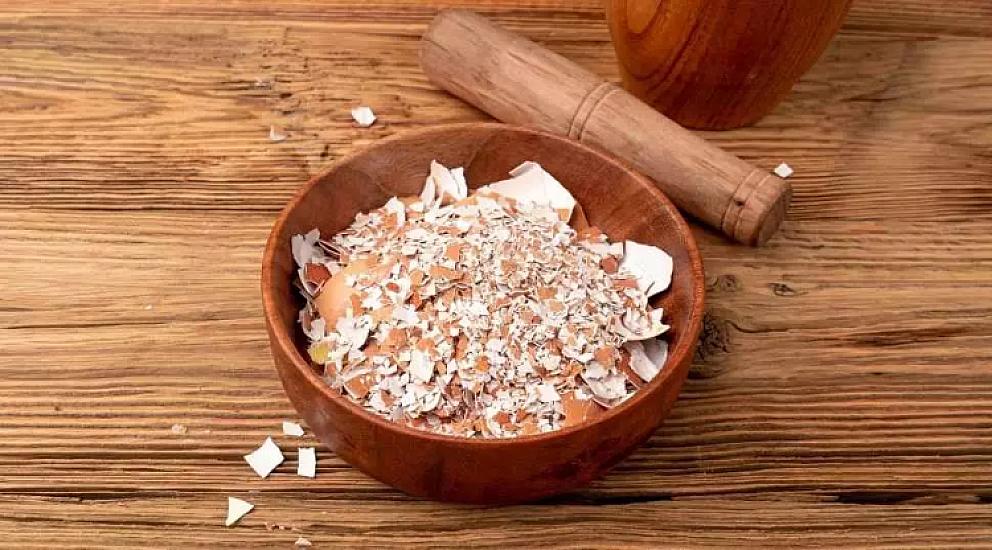 Использование яичной скорлупы стало трендом: