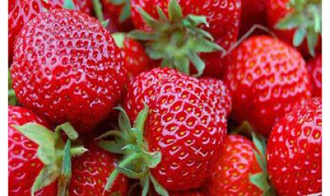 Hələ çiyələk yemək üçün tezdir