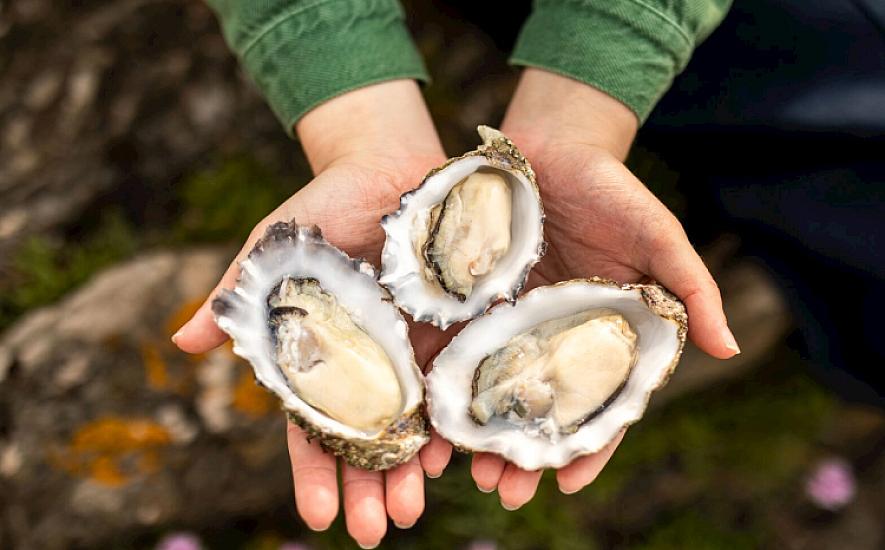 Yemək deyil, birbaşa bakteriya yuvasıdır: Bu şəxslər uzaq dursun