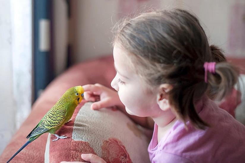  “Adını mən qoyacağam” – 