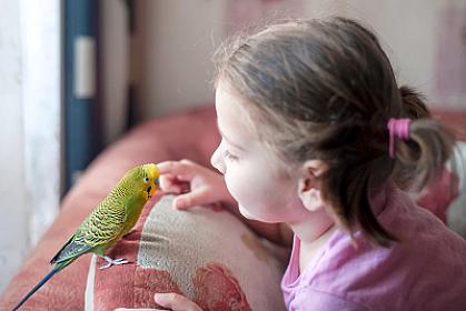  “Adını mən qoyacağam” – 