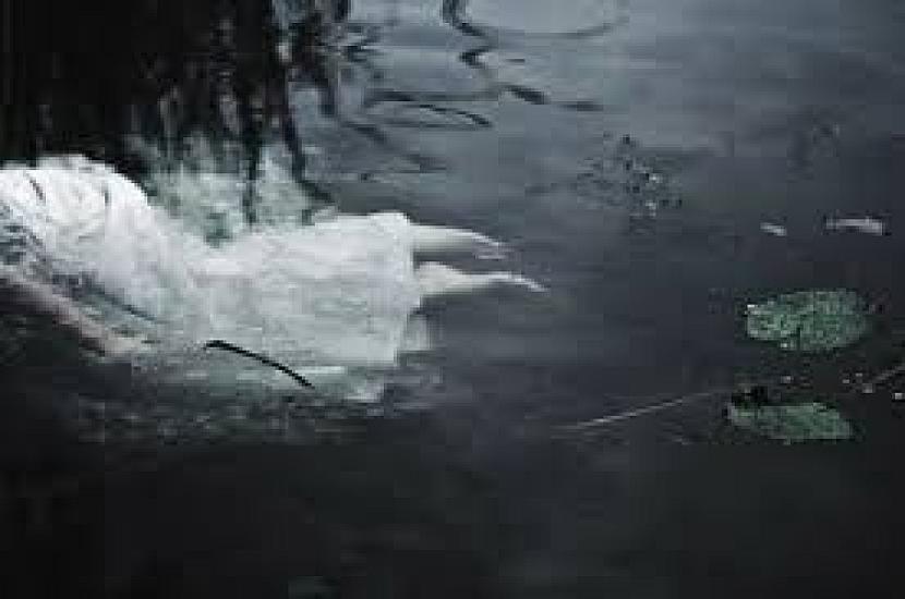 ŞOK: Generalı gəmidə öldürüb dənizə atdılar - 