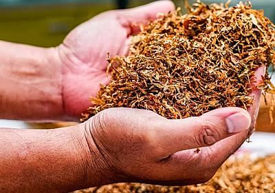 Siqaret bazarında səssiz inqilab: