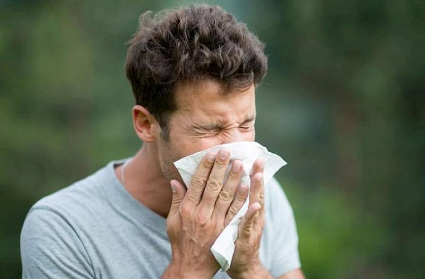 Allergiyası olanlar üçün sevindirici xəbər: