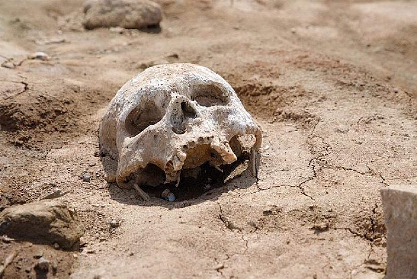 Uşaqlar oyun zamanı 