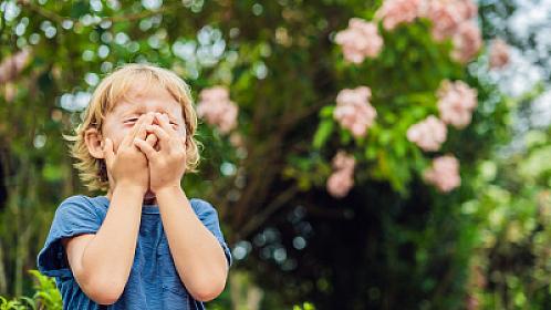 Yaz allergiyasına hazır olun: 