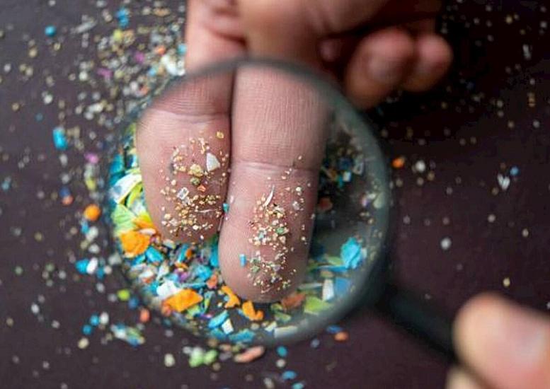 Mikroplastik təhlükəsi - 