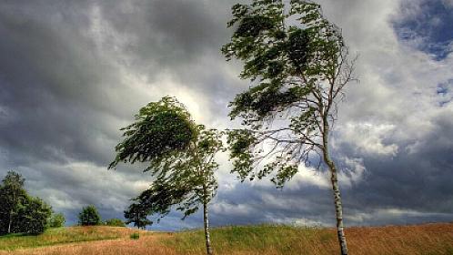 Küləkli hava şəraiti ilə bağlı sarı və narıncı 