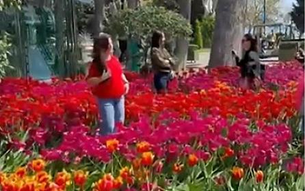 Bulvarda gülləri əzən 10 nəfər polisə çağırıldı - 