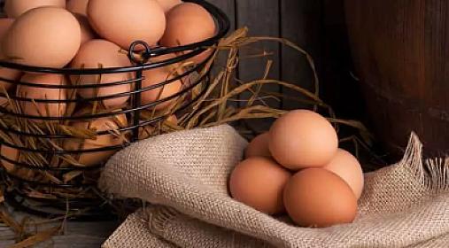 If you eat 1 egg every day for 15 years