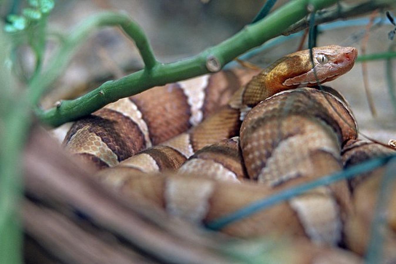 Bağçada uşağı ilan 