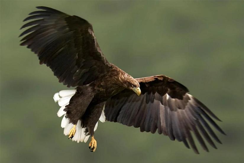 240 ildən sonra geri döndülər: 