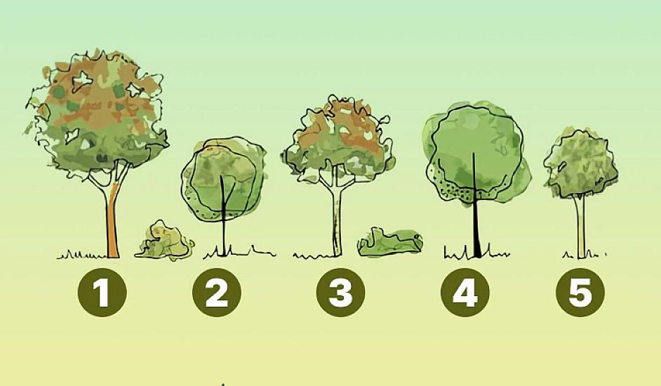 Eqoizmə meyllisinizmi? -