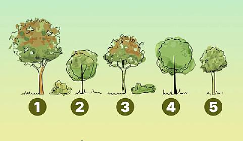 Eqoizmə meyllisinizmi? -