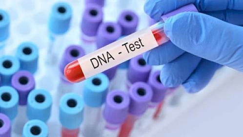 Ər və arvad əyləncə üçün DNA testi etdirdi - 