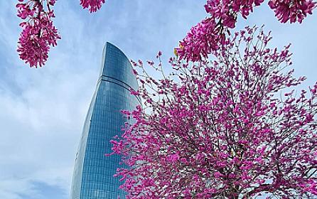 Bu gün hava necə olacaq? - 