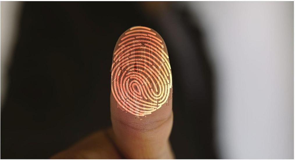 The secret of fingerprints revealed: