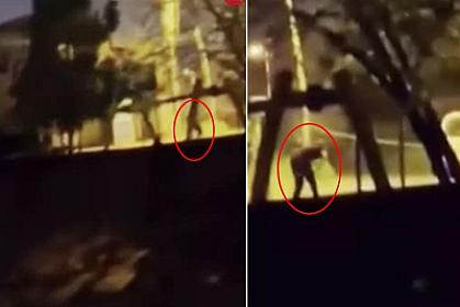 Türkiyədə məktəbin qarşısında daha bir atışma - 