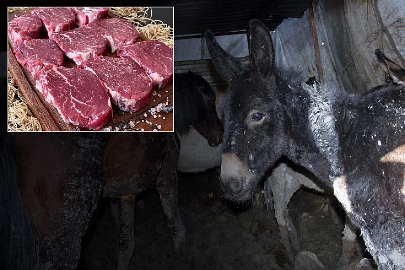 Vətəndaşlara at və eşşək əti veriblər - 