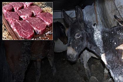 Vətəndaşlara at və eşşək əti veriblər - 