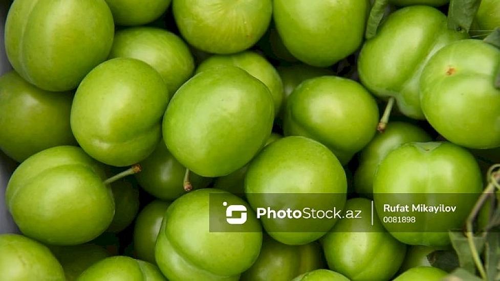 Azərbaycanda alça bağlarında DƏHŞƏTLİ xəstəlik yayıldı - 