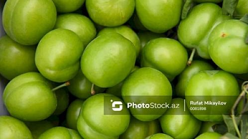 Azərbaycanda alça bağlarında DƏHŞƏTLİ xəstəlik yayıldı - 