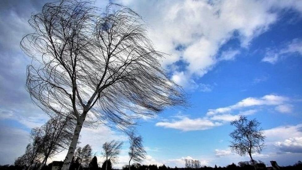 Hündür ağacların altında dayanmayın - 