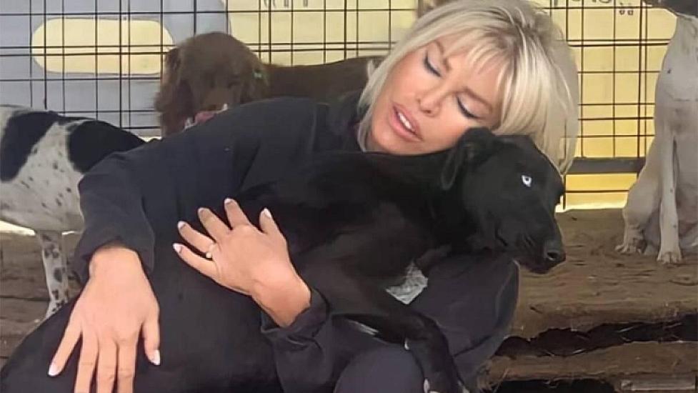 Famous Turkish singer BUILT A VILLA for his dogs -