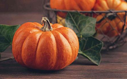 Можно ли больным сахарным диабетом есть тыкву? -