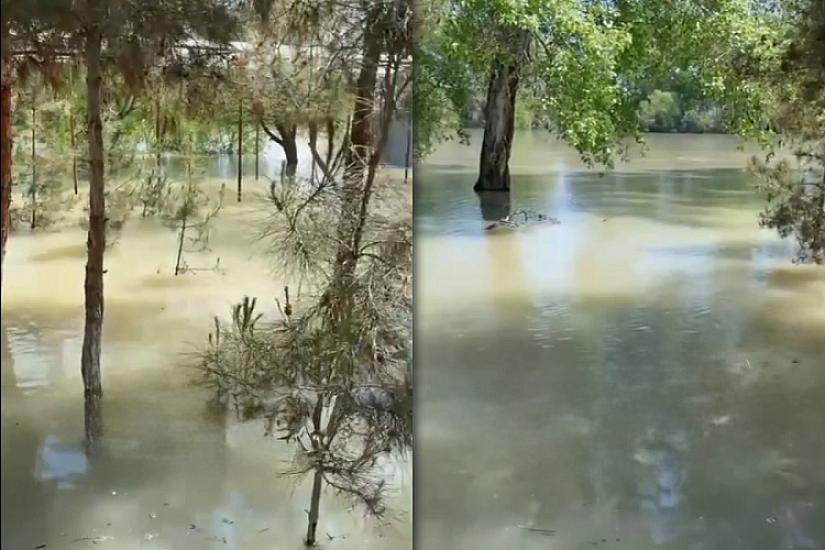 The Kura River flooded -