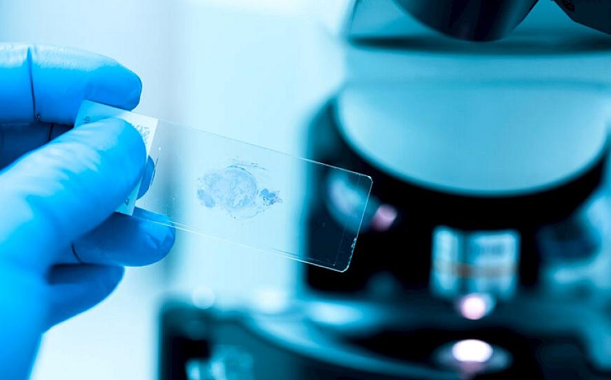 Alimlər hüceyrələri "diriltməyin" yolunu tapdı