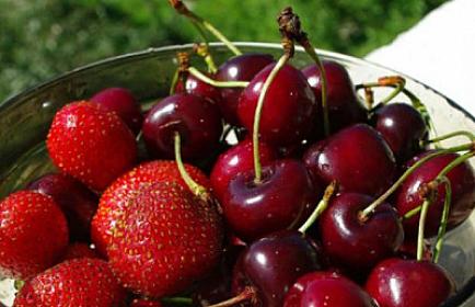 Mövsümün ilk gilası 