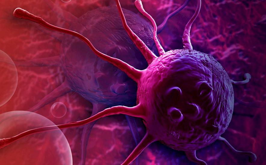 Основные сигналы, проявляющиеся на ранней стадии рака