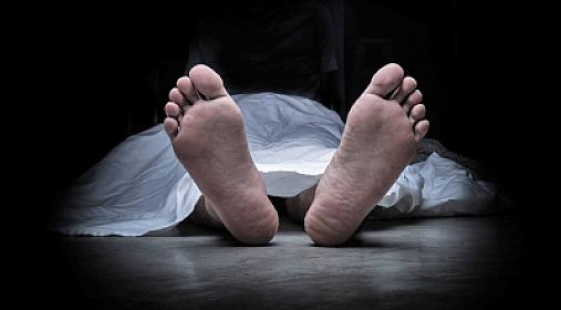 В Агсах 54-летний мужчина пас скот