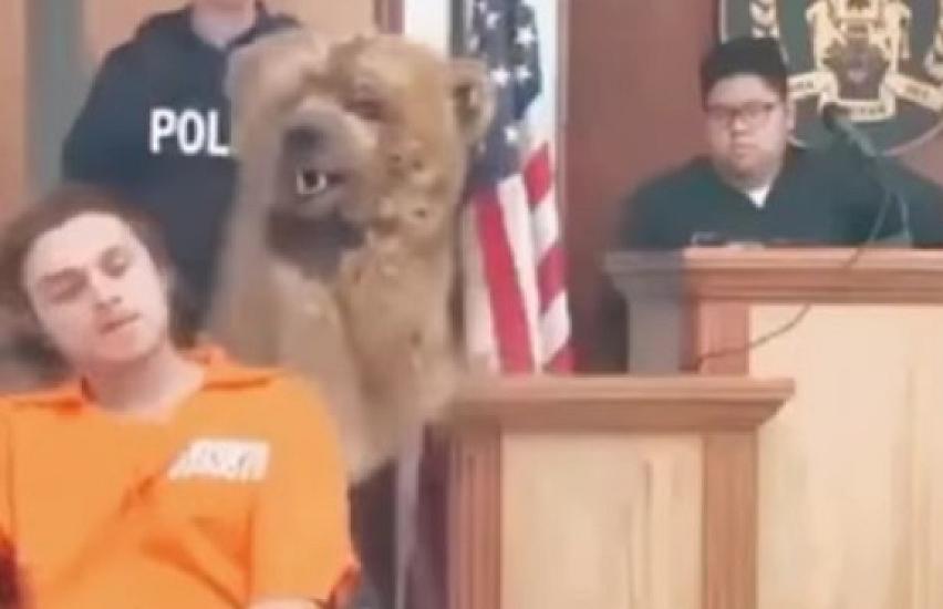 The legs of the "disabled" who saw the moon opened up.