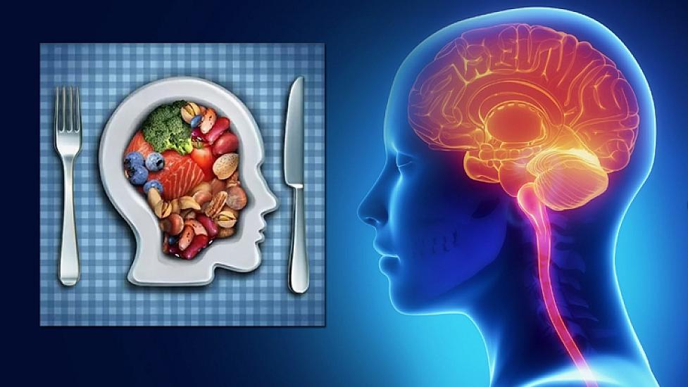 Пищевые продукты, укрепляющие память и сохраняющие мозг молодым