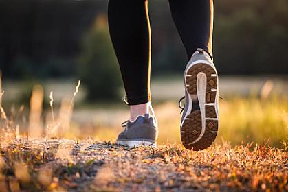 Gündəlik gəzinti nə ilə 