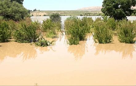 В Агджабеди река Кура