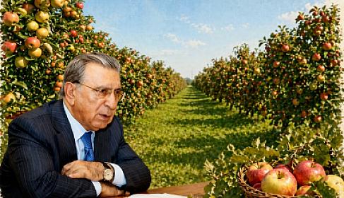 Ramanada Ramiz Mehdiyevin 32 hektar bağı 